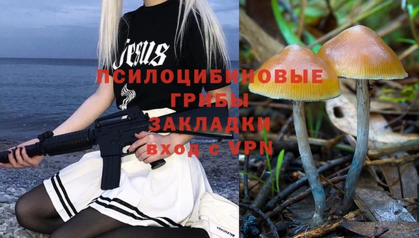 амф Алзамай