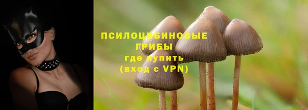 амф Алзамай